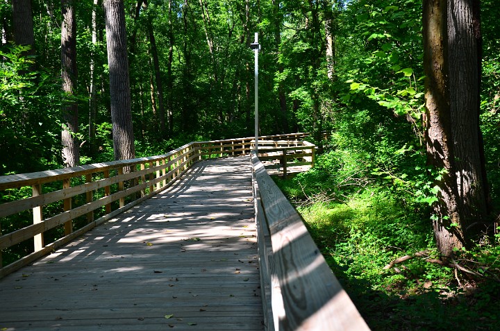 Wooden Walk on the Red Trail Wooden Walk on the Red Trail